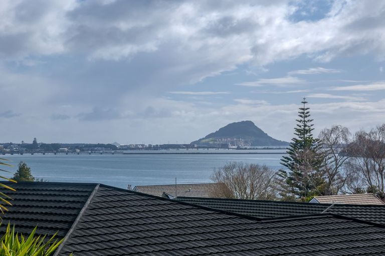 Photo of property in 343 Maungatapu Road, Maungatapu, Tauranga, 3112