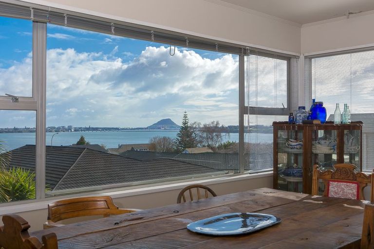 Photo of property in 343 Maungatapu Road, Maungatapu, Tauranga, 3112