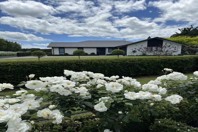 Photo of property in 146 Munro Road, Minden, Tauranga, 3179