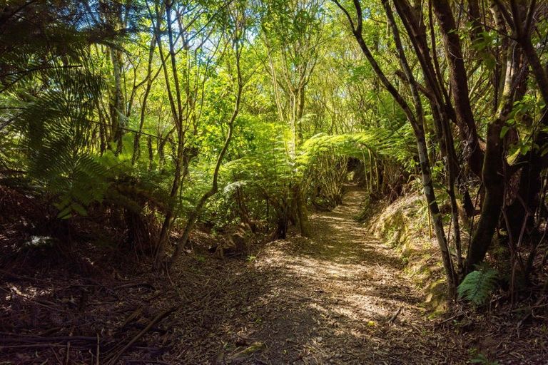 Photo of property in 780 Queen Charlotte Drive, Havelock, Picton, 7281