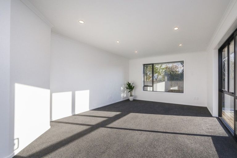 Photo of property in 29a Chelwood Street, Takaro, Palmerston North, 4412