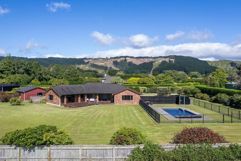 Photo of property in 38 Pohutukawa Drive, Levin, 5571