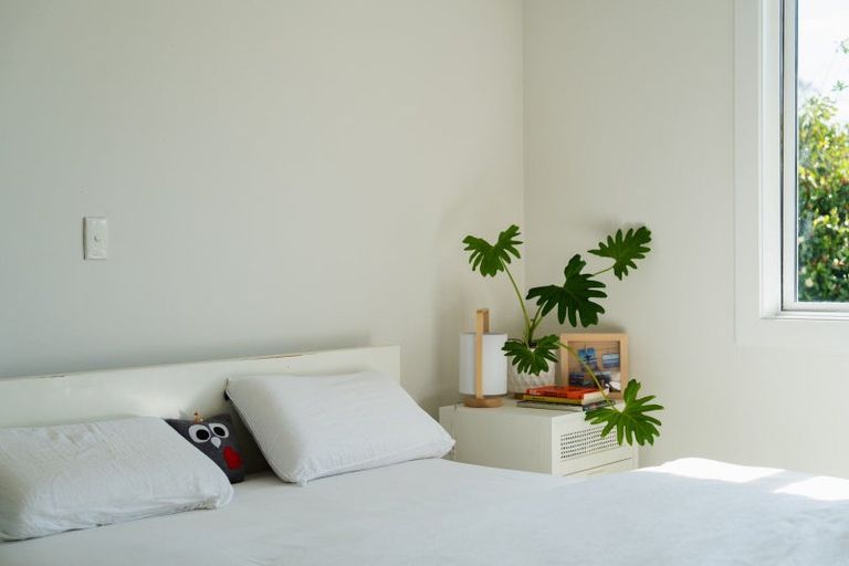 Photo of property in 23 Solar Terrace, Broad Bay, Dunedin, 9014