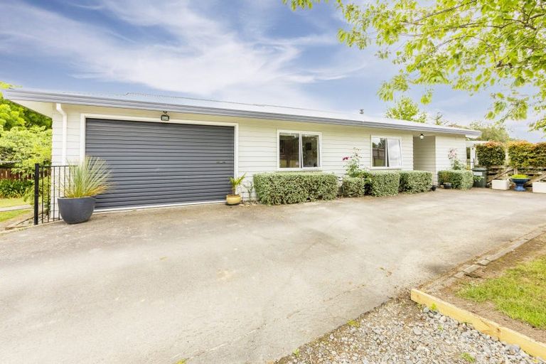 Photo of property in 17 Rose Street, Waipukurau, 4200
