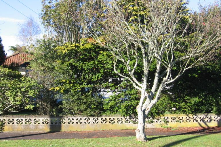 Photo of property in 6 Newall Street, Hamilton East, Hamilton, 3216