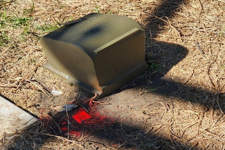 Photo of property in 161 Wairere Road, Wainui, 4010