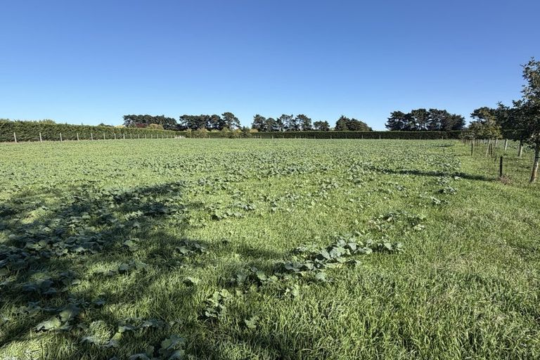Photo of property in 118 Mairaki Road, Fernside, Rangiora, 7471