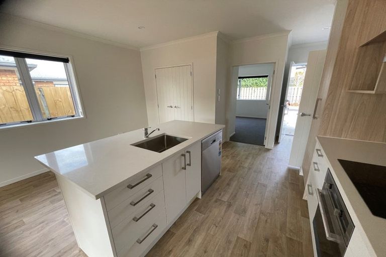 Photo of property in 70a Clarkin Road, Fairfield, Hamilton, 3214