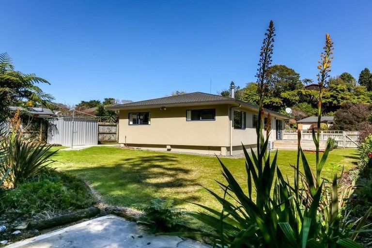 Photo of property in 55 Roto Street, Hurdon, New Plymouth, 4310