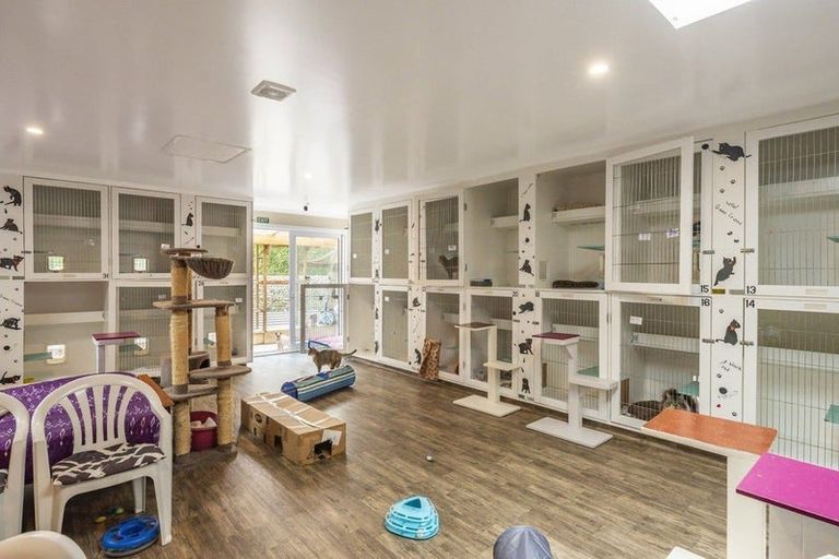 Photo of property in 222 Main Road South, Raumati South, Paraparaumu, 5032