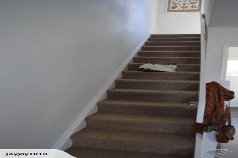 Photo of property in 100f5 Lyall Parade, Lyall Bay, Wellington, 6022