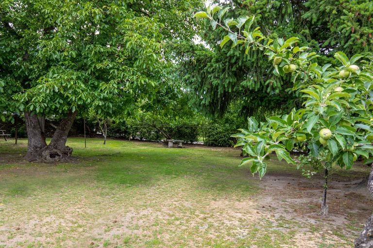 Photo of property in 6 Blyth Street, Clyde, 9330