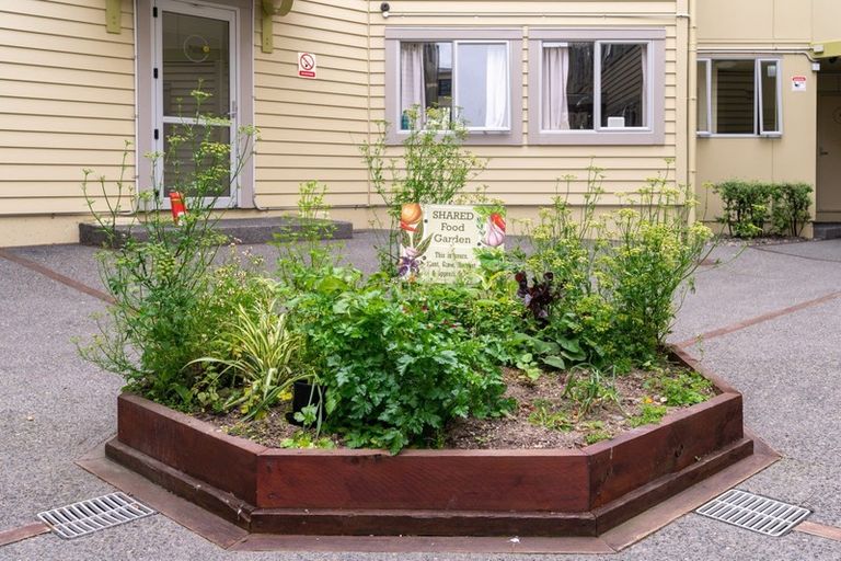 Photo of property in Basin Reserve Complex, 32/4 Sussex Street, Mount Cook, Wellington, 6021