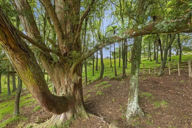 Photo of property in 201c Checkley Road, Raglan, 3295