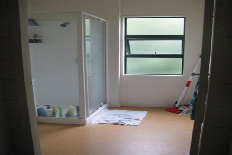 Photo of property in Te Awhina Apartments, 29/22u Sussex Street, Mount Cook, Wellington, 6021