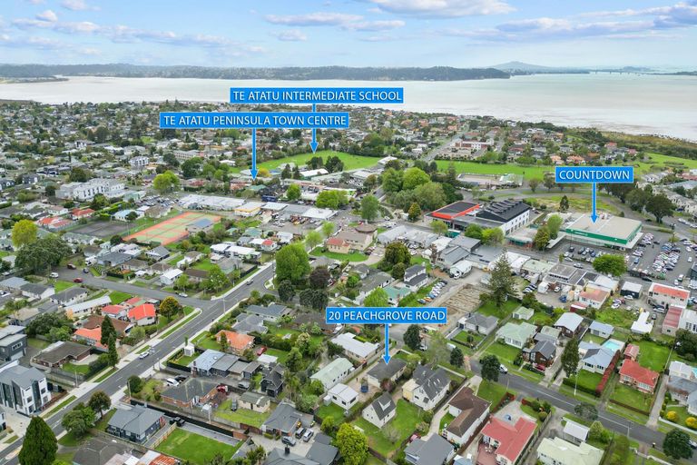 Photo of property in 20 Peachgrove Road, Te Atatu Peninsula, Auckland, 0610