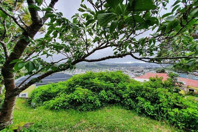 Photo of property in 149 Coromandel Street, Newtown, Wellington, 6021