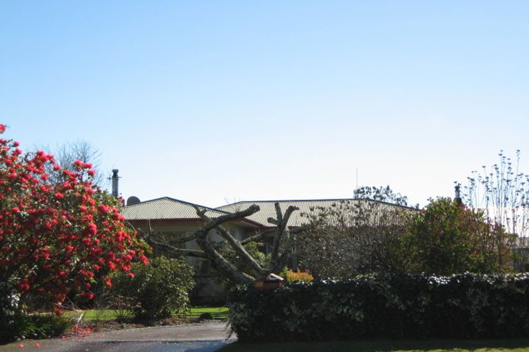 Photo of property in 318 Karaitiana Street, Frimley, Hastings, 4120