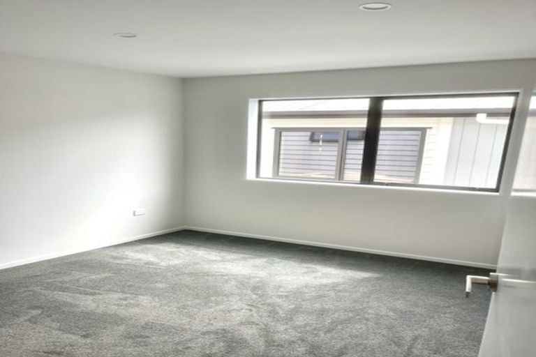 Photo of property in 17 Cyperus Street, Flat Bush, 2019