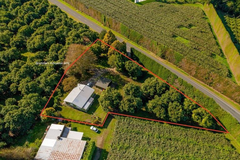 Photo of property in 472 No 3 Road, Te Puke, 3183