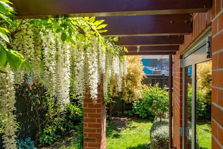 Photo of property in 58 Nile Street, Nelson, 7010