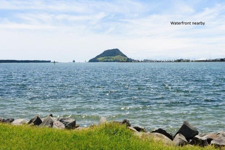 Photo of property in 40 Ngatai Road, Otumoetai, Tauranga, 3110