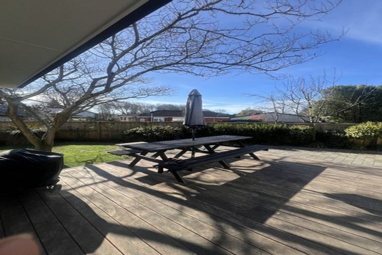 Photo of property in 199 Ashgrove Terrace, Somerfield, Christchurch, 8024