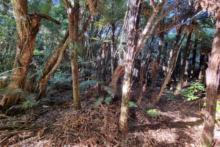 Photo of property in 3454 State Highway 6, Barrytown, Greymouth, 7873