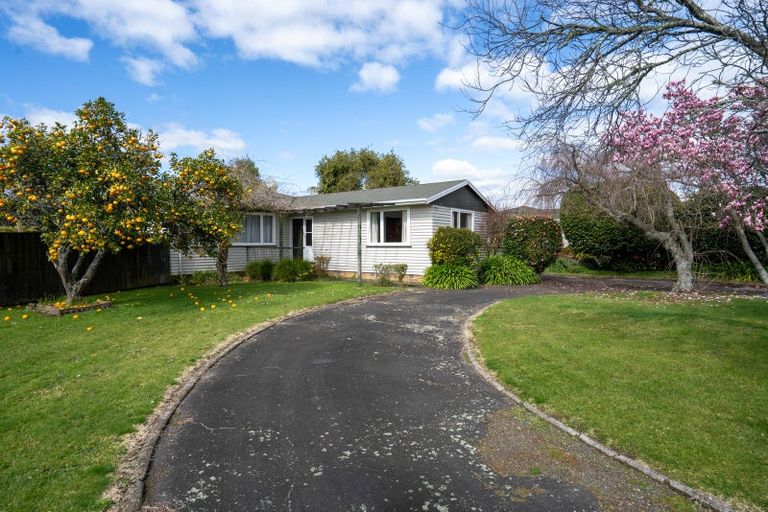 Photo of property in 51 Grosvenor Street, Cambridge, 3434