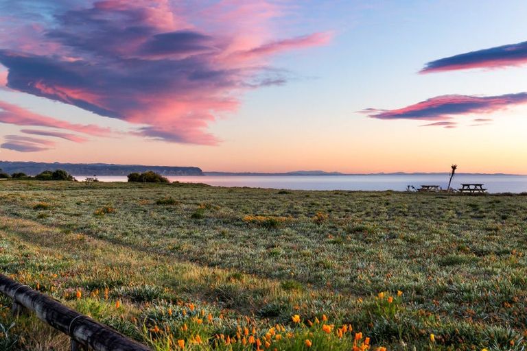 Photo of property in 21 Le Quesne Road, Bay View, Napier, 4104