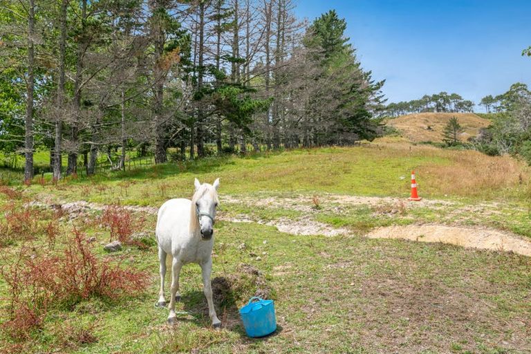 Photo of property in 411 Pine Valley Road, Dairy Flat, Silverdale, 0992