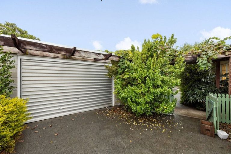 Photo of property in 56 Grosvenor Street, Cambridge, 3434