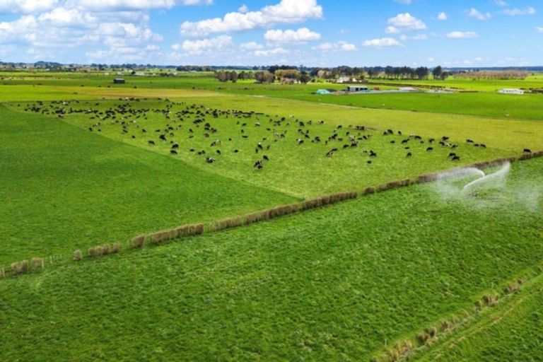 Photo of property in 2174 Eltham Road, Awatuna, Hawera, 4679