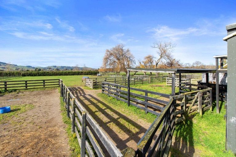 Photo of property in 58 Saint Kilda Road, Cambridge, 3493