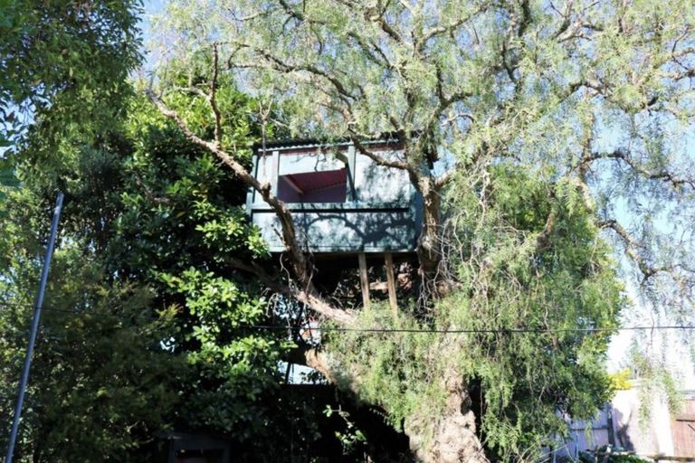 Photo of property in 90 Tiro Tiro Road, Levin, 5510