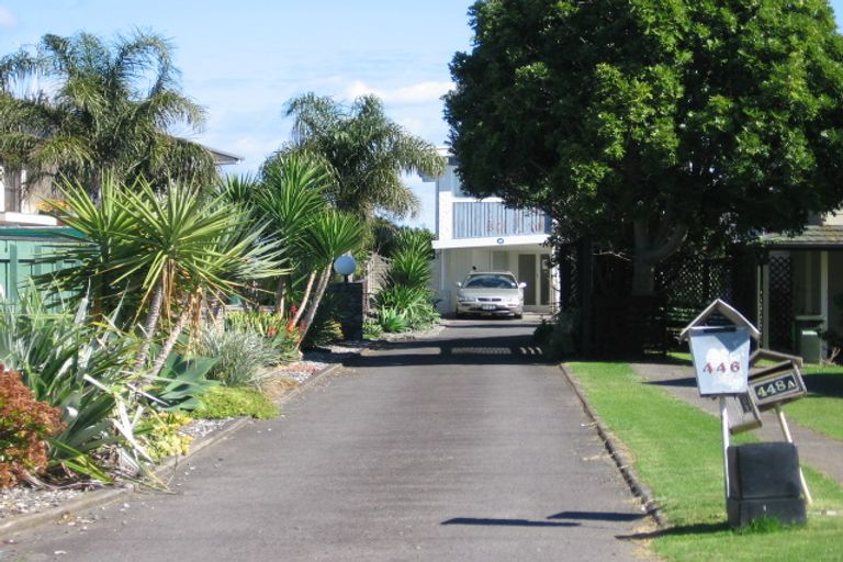 Photo of property in 446 Maungatapu Road, Maungatapu, Tauranga, 3112