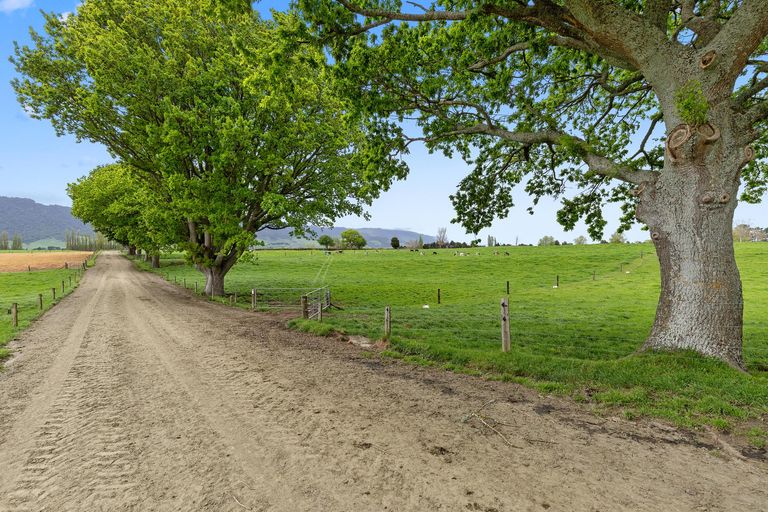 Photo of property in 72 Harding Road, Turangaomoana, Matamata, 3471