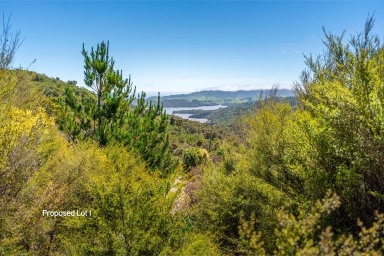Photo of property in 425 Pakawau-bush Road, Pakawau, Collingwood, 7073