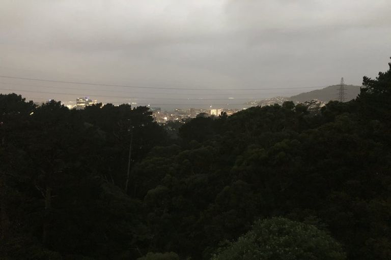 Photo of property in 61 Mortimer Terrace, Brooklyn, Wellington, 6021