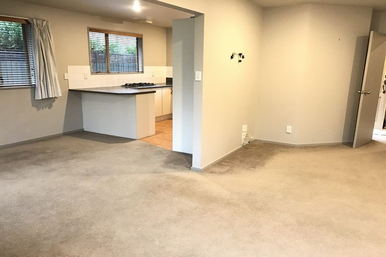 Photo of property in 121 Canon Street, Edgeware, Christchurch, 8013