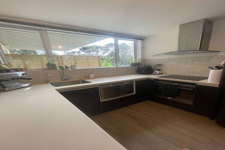 Photo of property in 12 Viridian Lane, Greenhithe, Auckland, 0632