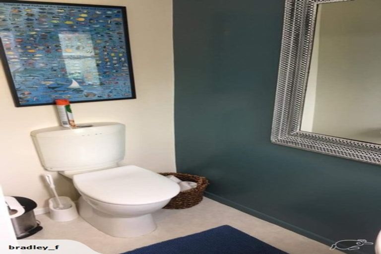 Photo of property in 20 Green Street, Newtown, Wellington, 6021