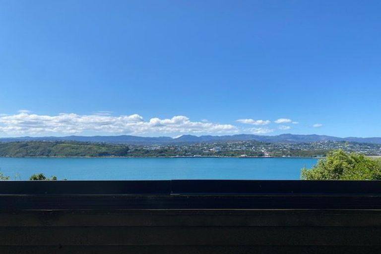 Photo of property in 55 Overtoun Terrace, Hataitai, Wellington, 6021