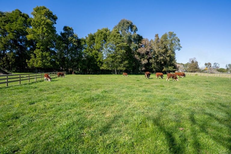 Photo of property in 47 Rosebanks Drive, Tamahere, Hamilton, 3283