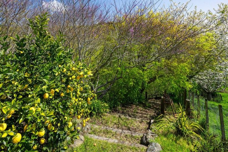 Photo of property in 1/180 Oreipunga Road, Maungatautari, Cambridge, 3494