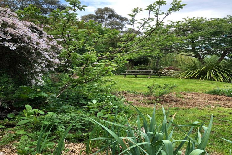 Photo of property in 44 Manchester Street, Bradford, Dunedin, 9011