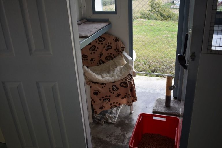 Photo of property in 236 Lord Rutherford Road, Brightwater, 7091