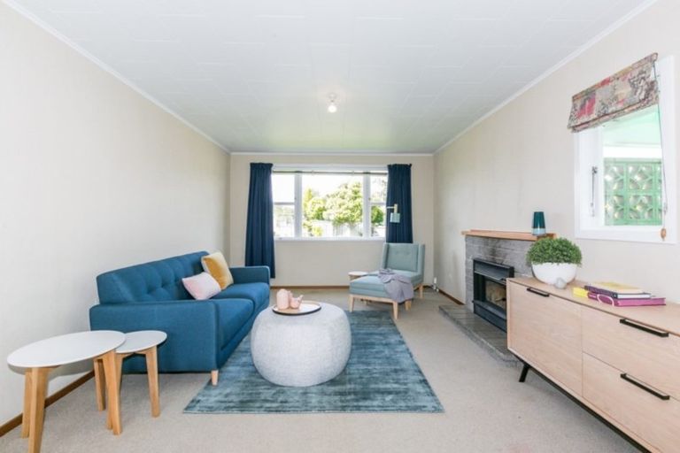 Photo of property in 19 Frickleton Street, Taradale, Napier, 4112