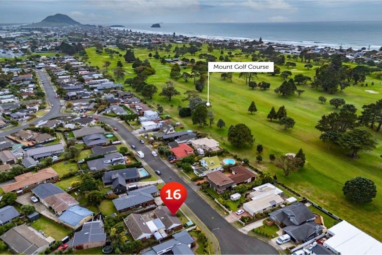Photo of property in 16 Berwick Place, Mount Maunganui, 3116