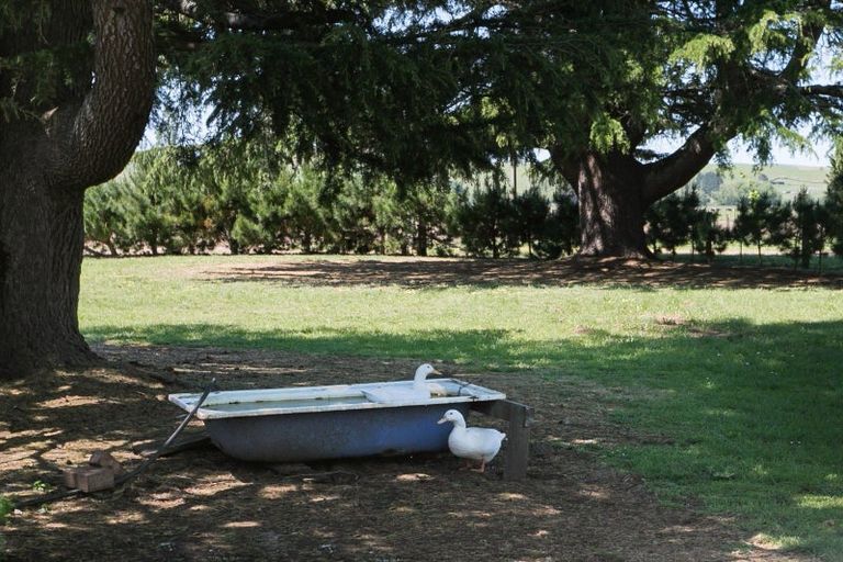 Photo of property in 1/3389 State Highway 2, Takapau, 4281